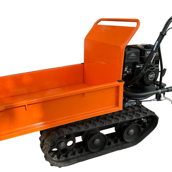 MOTOCARRIOLA D30MD DFS