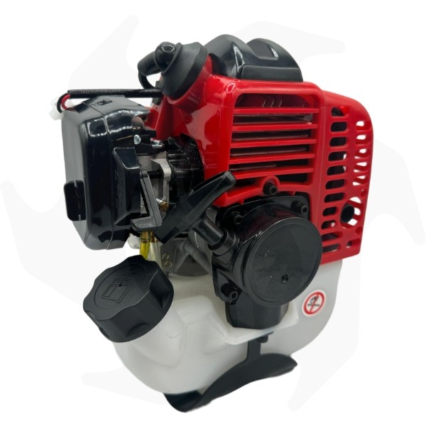 MOTORE 2 TEMPI 25.4CC DFS
